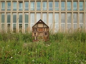 Bijenhotel Piet Heinkade